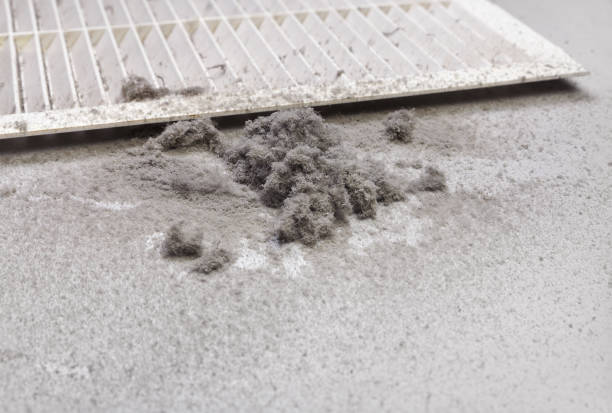 Best Ductwork Cleaning Services  in Globe, AZ