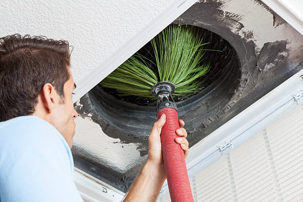 Best Home Air Vent Cleaning  in Globe, AZ